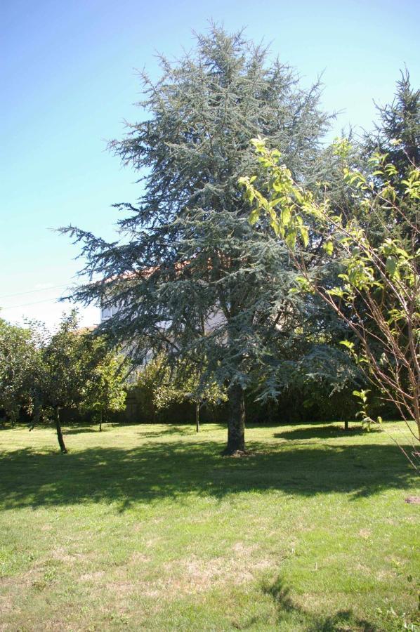 Vivienda Tradicional Con Jardin Y Patio Interior Villa Villanueva De Arosa Luaran gambar